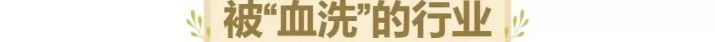 黄金周酒店乱象：1千多一晚亚朵全季，他们选择在景区扎帐篷-第11张图片-