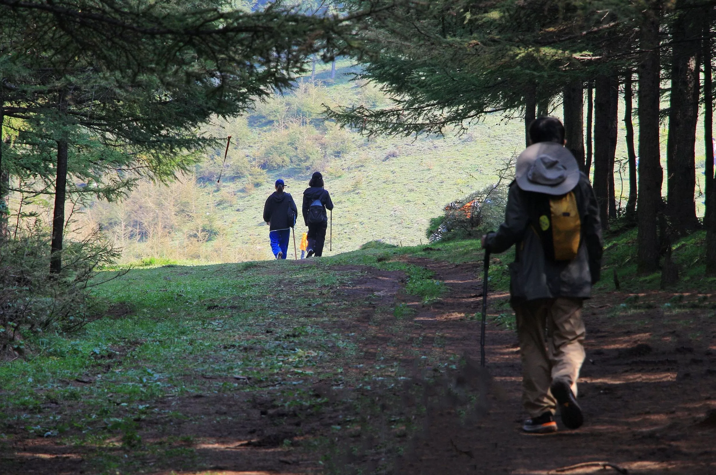徒步热乱象：失温、迷路为何多发-第1张图片-