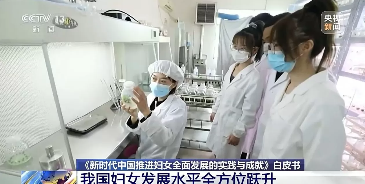 我国妇女发展水平全方位跃升，6.9亿多妇女迈入全面小康-第3张图片-