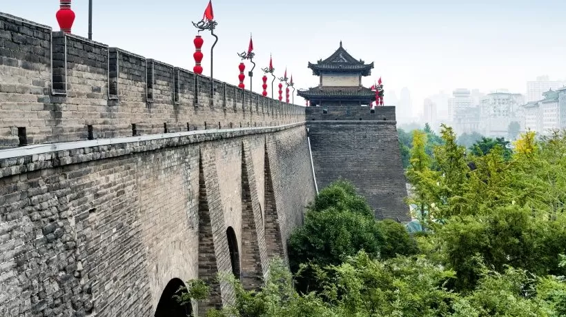 地方新闻精选 | 西安连续降雨1个多月遍地长蘑菇 青岛海关查获“问题地图”6万张-第1张图片-