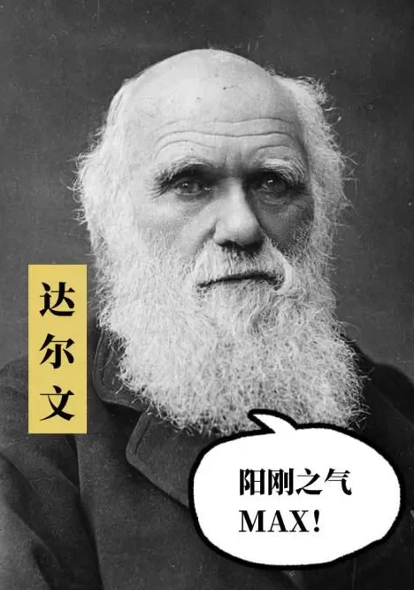 现在的中国男人为啥大多不留长胡子了？-第2张图片-