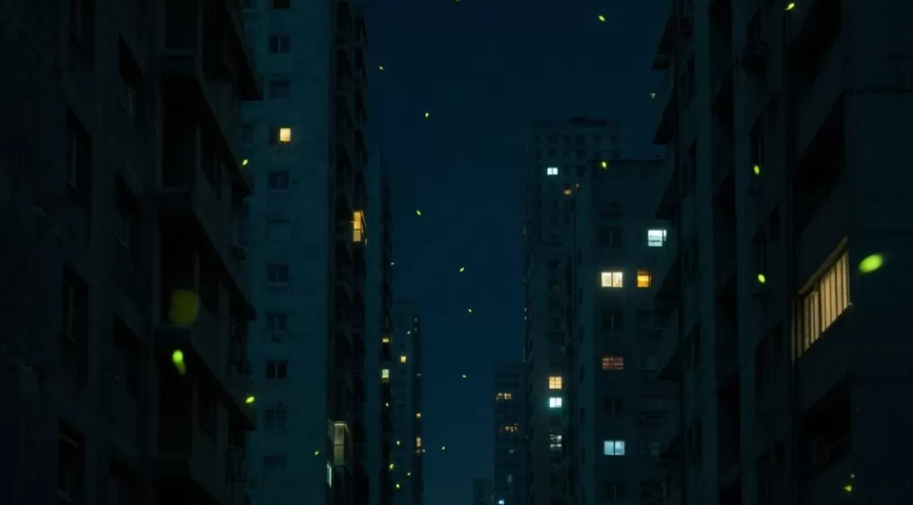 夜读|暗夜微光-第1张图片- 夜读|暗夜微光-第1张图片-