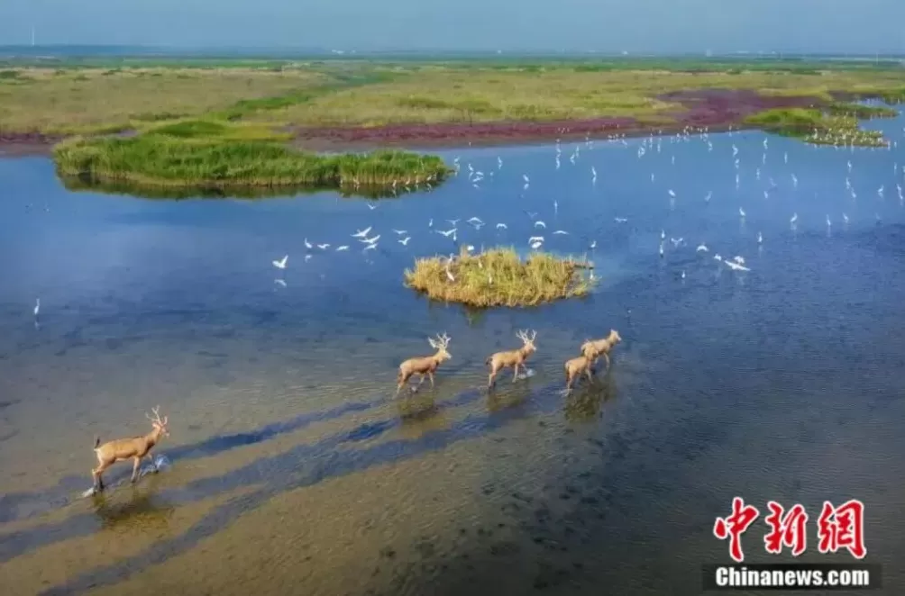 青春华章丨人这一辈子，一定要赴一场江苏的江河湖海之约！-第6张图片-