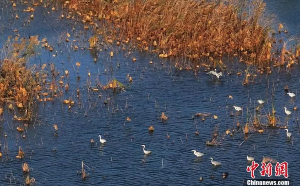 青春华章丨人这一辈子，一定要赴一场江苏的江河湖海之约！-第8张图片-