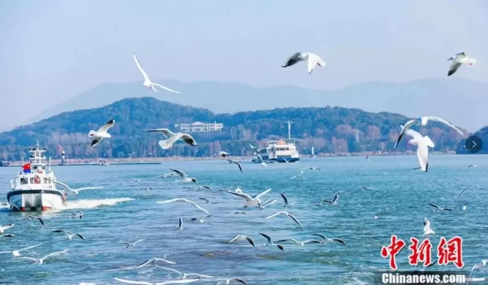 青春华章丨人这一辈子，一定要赴一场江苏的江河湖海之约！-第13张图片-