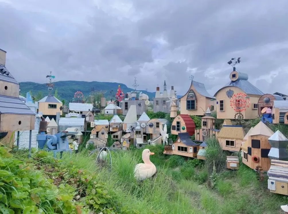 丽江一景区“人体蜈蚣”等作品被指观感不适，回应：已拆除-第4张图片-