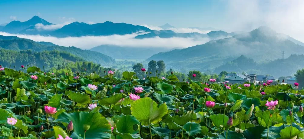 福建建宁：一座越来越“聪明”的城市-第2张图片-