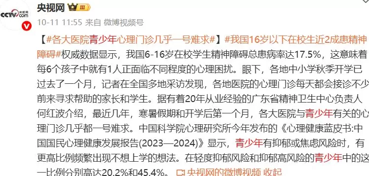 文学花边｜独家对话梁鸿：我们的孩子为什么“生病”了-第5张图片-