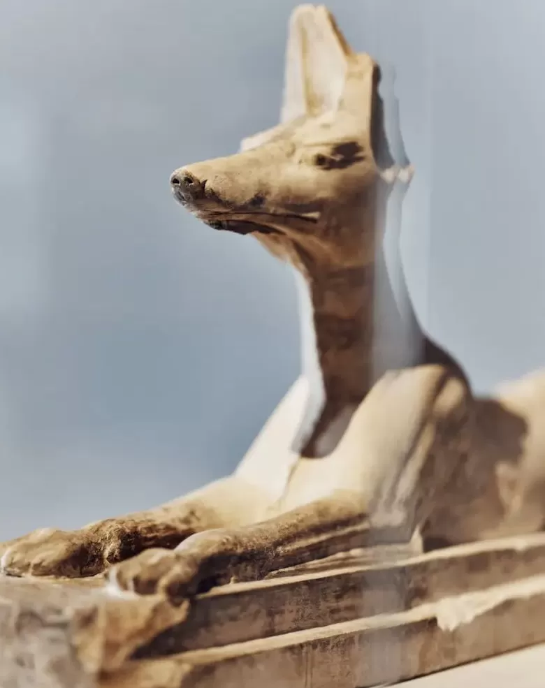 纽约大都会博物馆也开了古埃及大展-第10张图片-