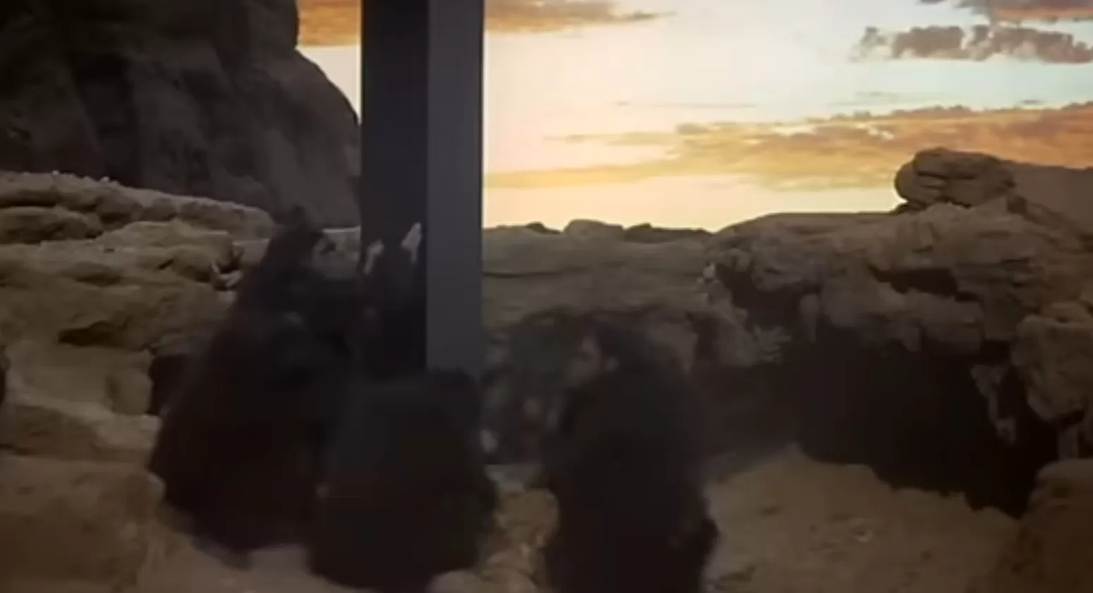 意大利影视中的法西斯主义：“世纪之子”还是“不良诗人”？-第15张图片-