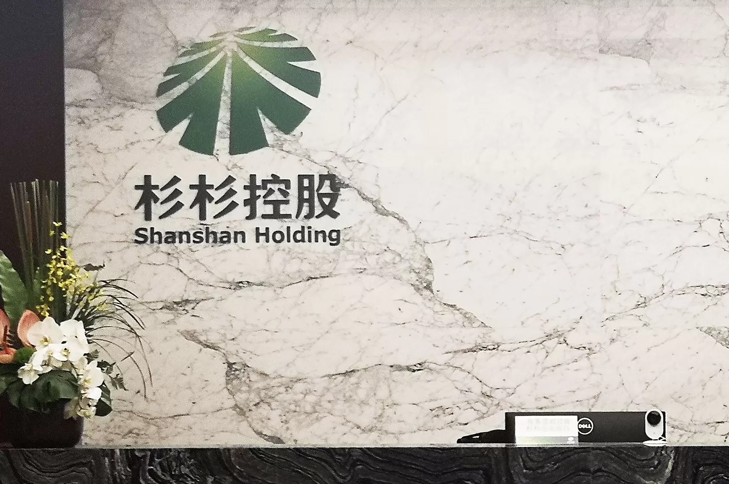 杉杉控股再被执行7亿元，已累计被执行超122亿-第3张图片-