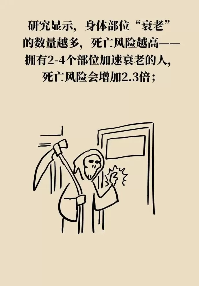 身体这两处年轻，长寿概率更大-第7张图片-