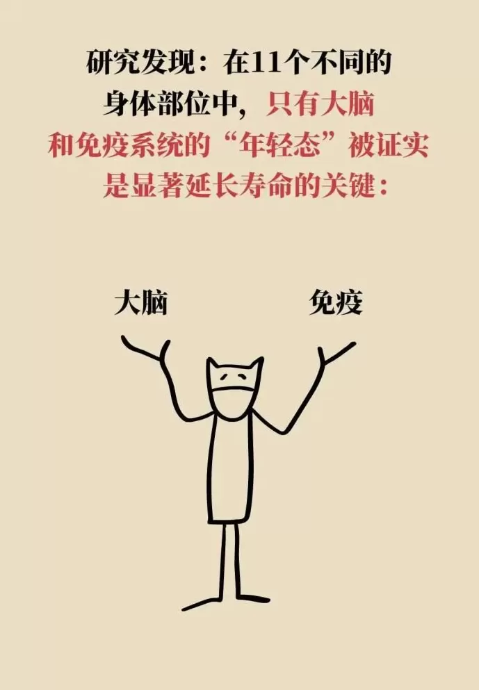身体这两处年轻，长寿概率更大-第10张图片-
