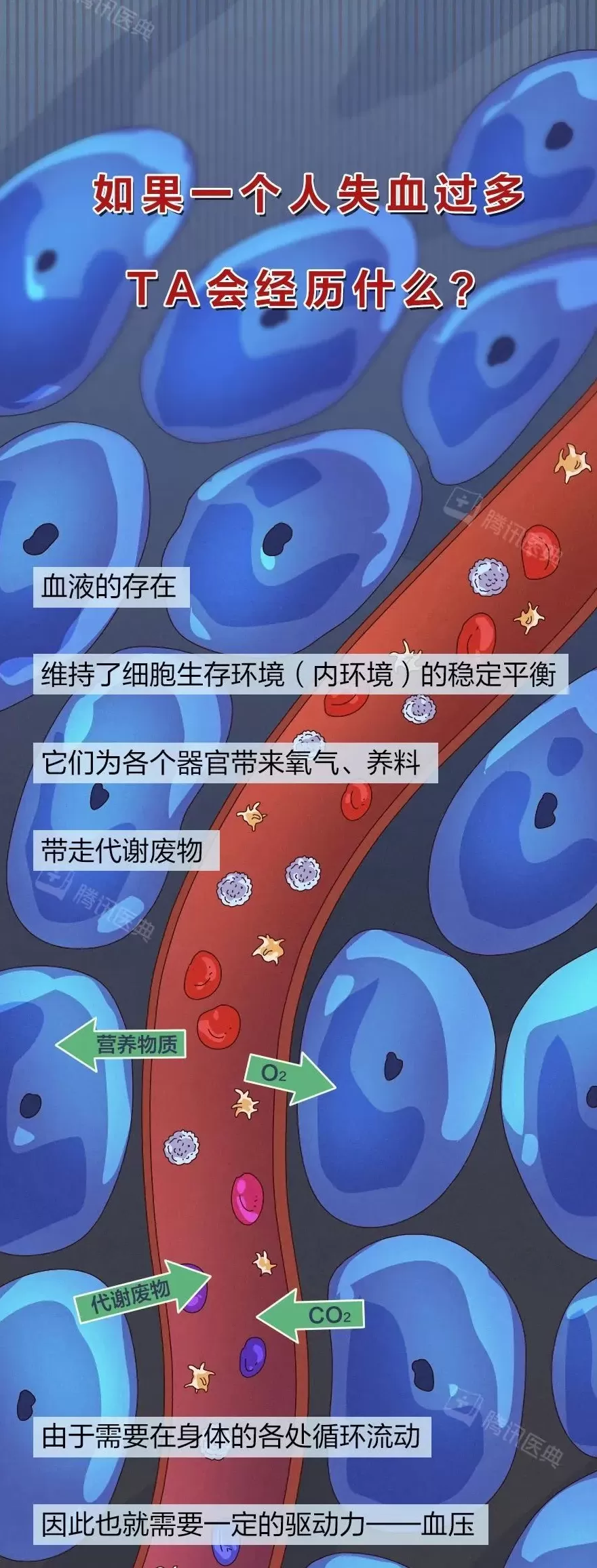 出血一旦止不住，到底有多可怕？-第7张图片-