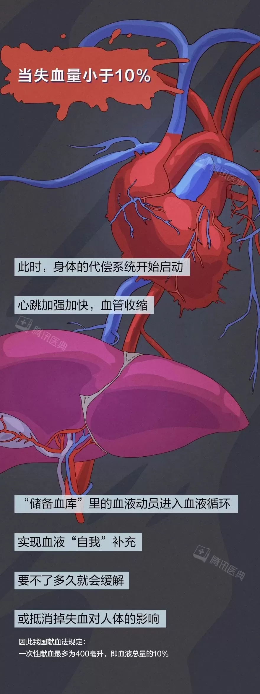 出血一旦止不住，到底有多可怕？-第10张图片-