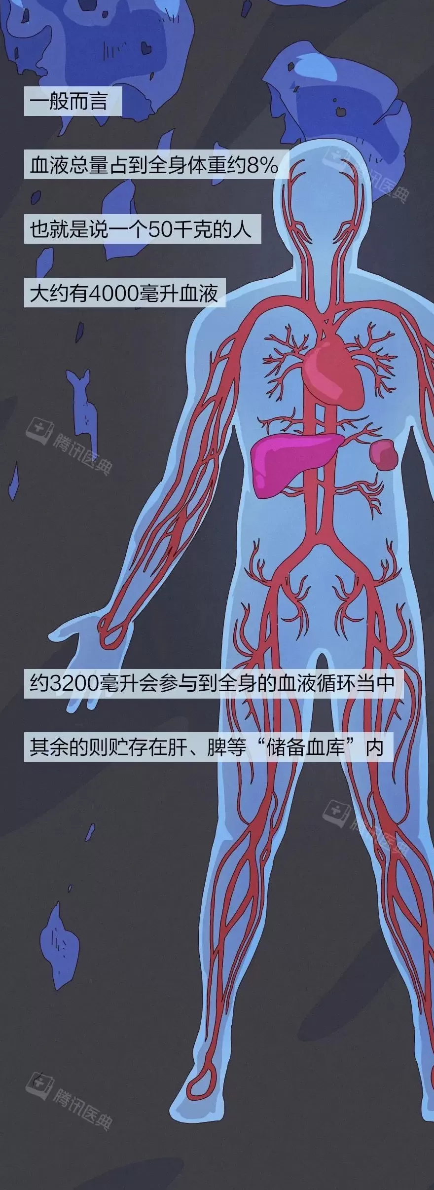 出血一旦止不住，到底有多可怕？-第9张图片-