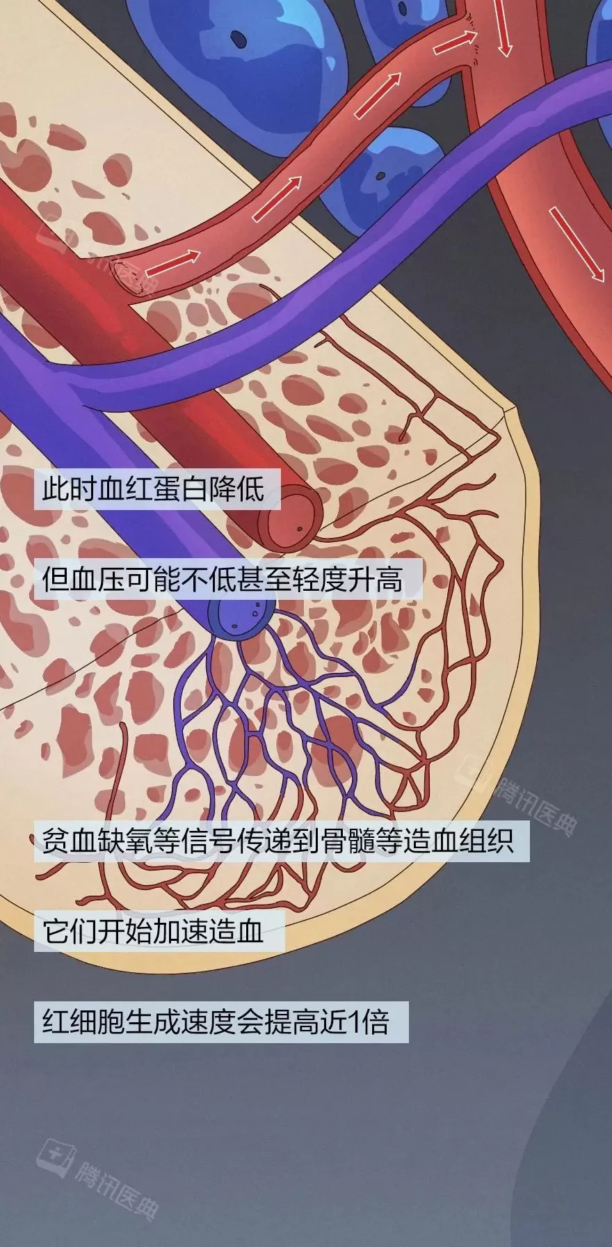 出血一旦止不住，到底有多可怕？-第12张图片-