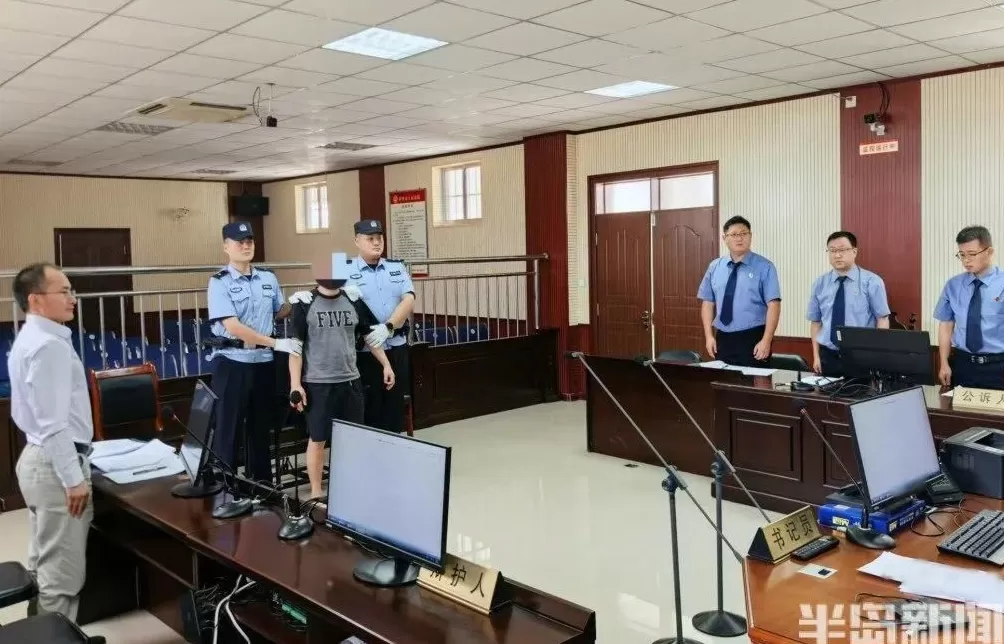 非法猎捕66只黄豆鸟，男子获刑并赔偿-第1张图片-