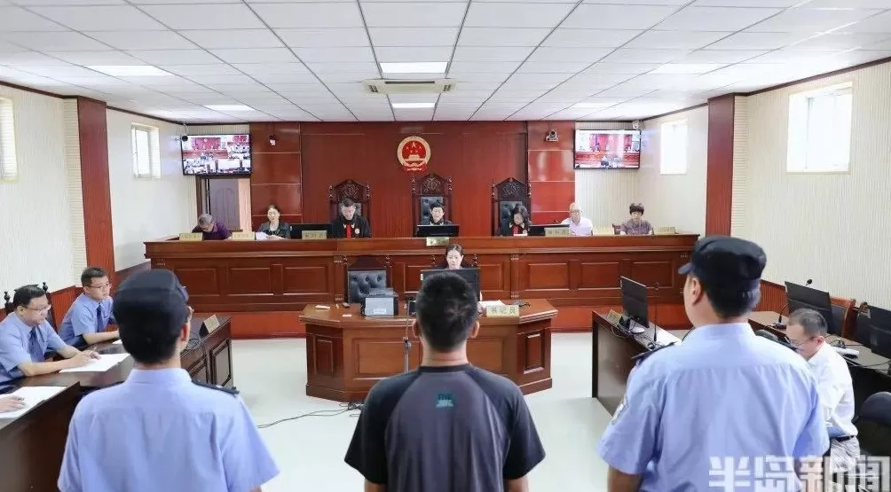 非法猎捕66只黄豆鸟，男子获刑并赔偿-第2张图片-