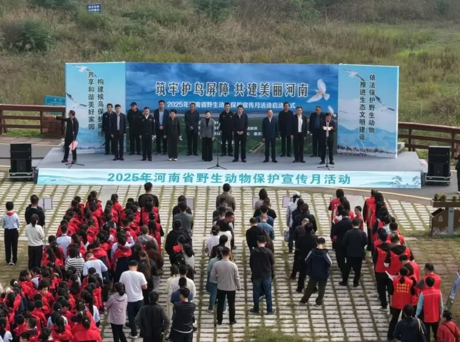 黄河滩毒死8只野生小天鹅？2人获刑！河南打击非法涉鸟专项行动来了-第3张图片-