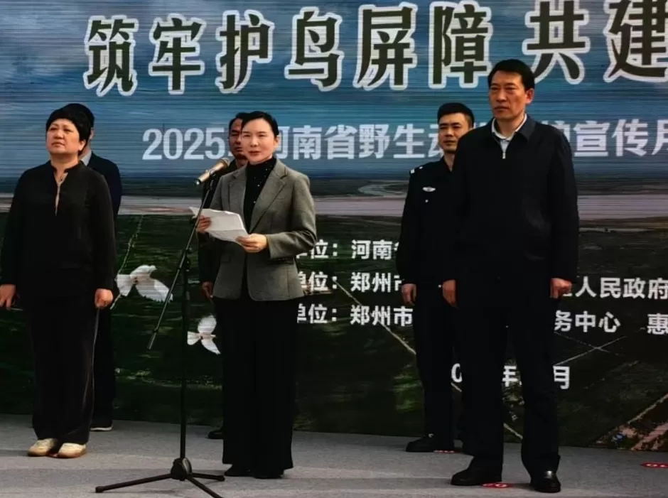 黄河滩毒死8只野生小天鹅？2人获刑！河南打击非法涉鸟专项行动来了-第2张图片-