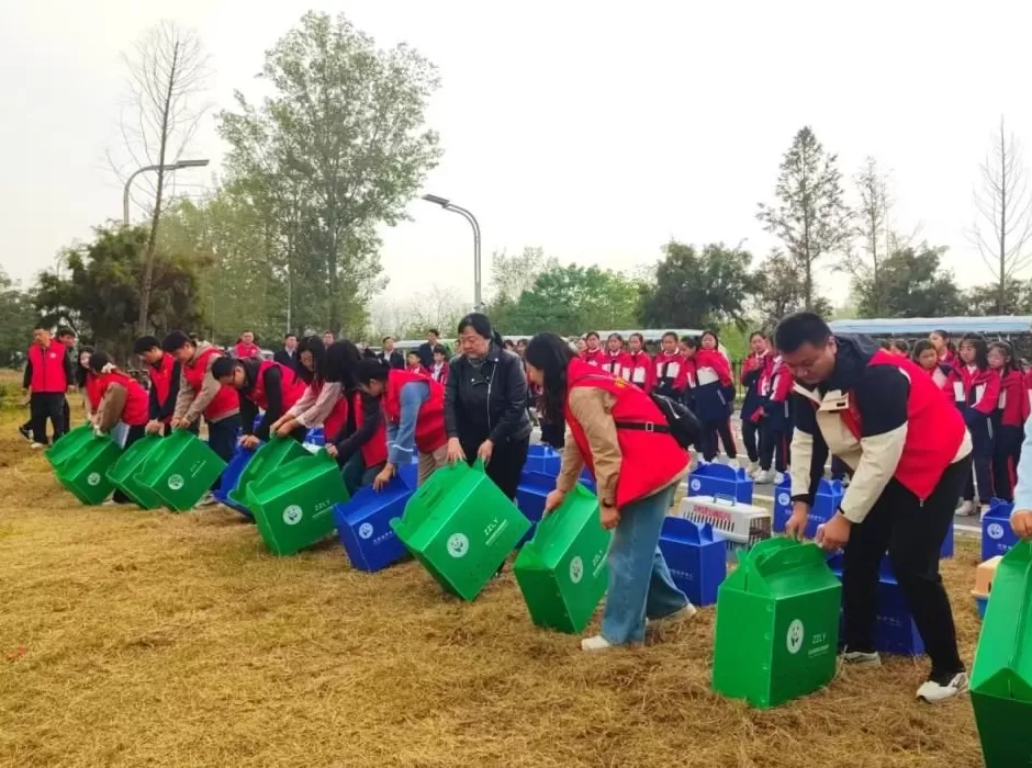 黄河滩毒死8只野生小天鹅？2人获刑！河南打击非法涉鸟专项行动来了-第7张图片-