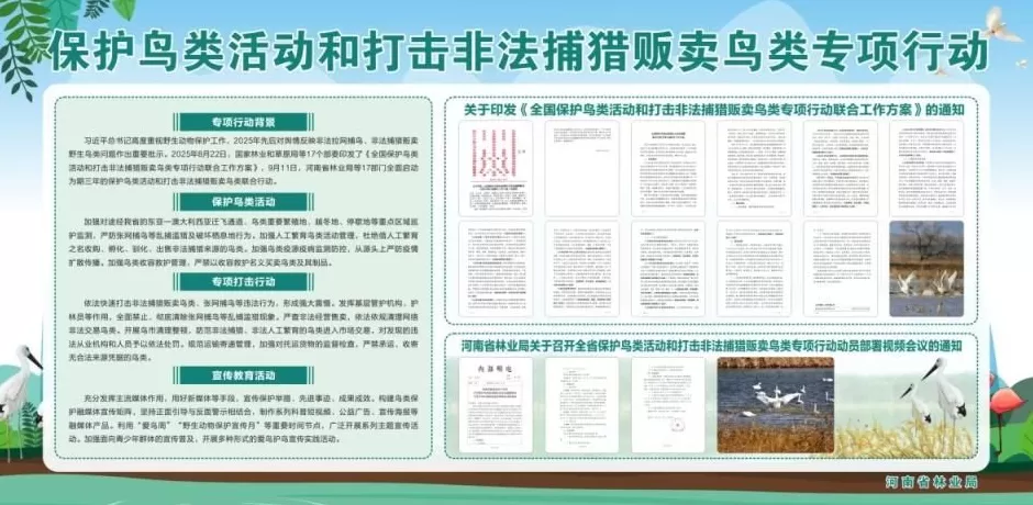 黄河滩毒死8只野生小天鹅？2人获刑！河南打击非法涉鸟专项行动来了-第10张图片-