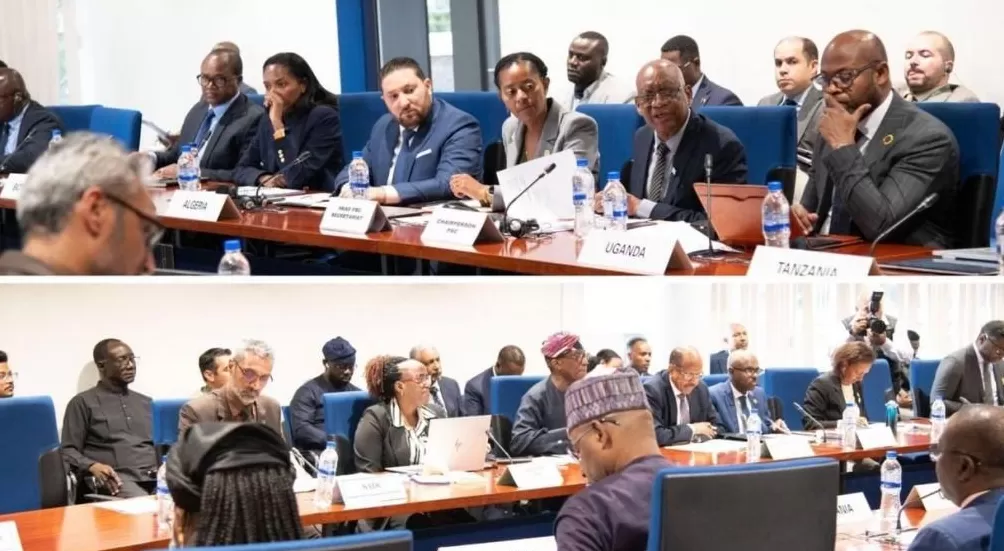 政局动荡，总统远走……这个东非岛国正在经历什么-第6张图片-