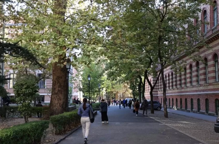 诺贝尔文学奖｜在布达佩斯寻找拉斯洛与匈牙利文学的孤独荣光-第8张图片-