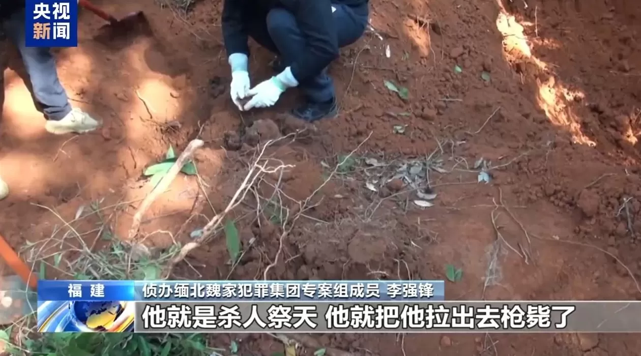 武装力量有编制、接班人杀人祭天，缅北果敢魏家犯罪集团专案细节曝光-第15张图片-