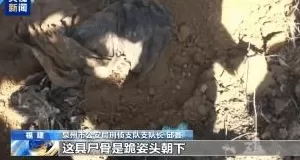 “随便找个陌生人杀了祭天”，缅北魏家接班人回应：没什么感受-第3张图片-