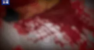 “随便找个陌生人杀了祭天”，缅北魏家接班人回应：没什么感受-第4张图片-