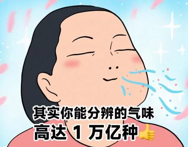 大脑变老的迹象，竟是从鼻子开始的？-第2张图片-