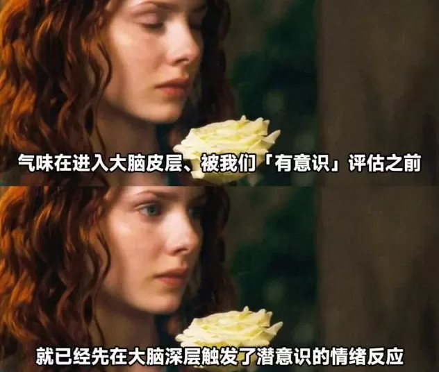 大脑变老的迹象，竟是从鼻子开始的？-第7张图片-