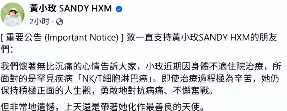 34岁台湾歌手黄小玫因罕见病猝逝，团队证实：治疗过程极为辛苦-第2张图片-