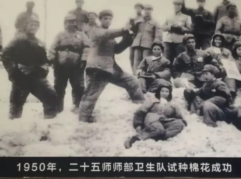 一朵新疆棉从“小”开到“大-第2张图片-