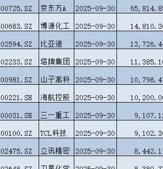 北向资金三季度持仓曝光：宁德市值第一，京东方A获增持股数最多-第2张图片-