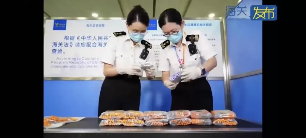 七人腰间绑藏超4000支替西帕肽针剂被海关查获，价值超百万元-第3张图片-