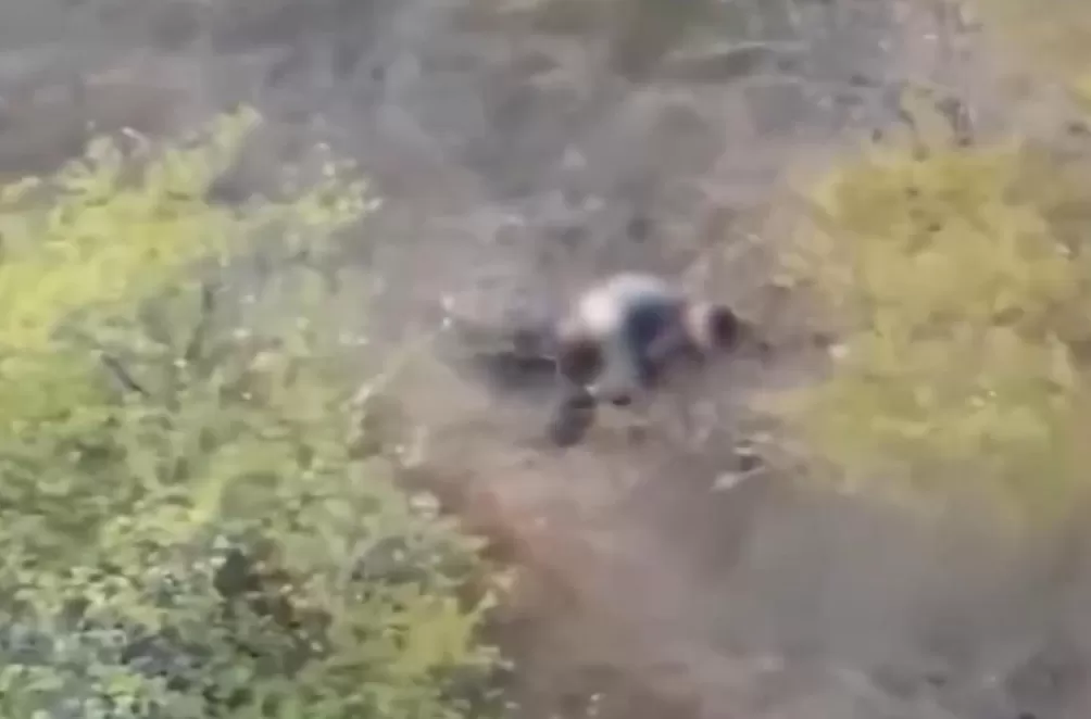 俄媒曝光视频：无人机救下一名正遭乌军性侵女子，士兵顾不上提裤子拔腿就逃，随后被击中-第1张图片-