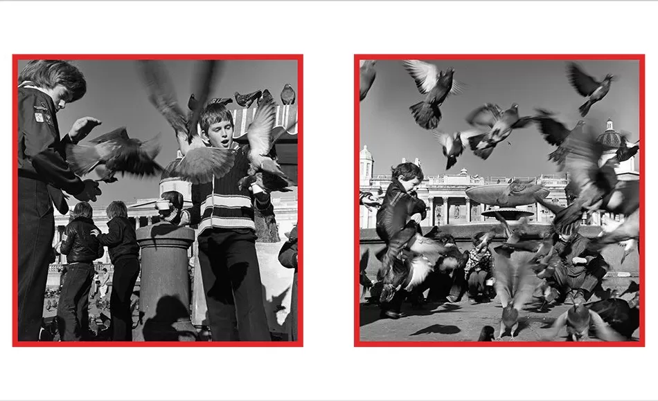 美国演员黛安·基顿谢世，她也是一位摄影书藏家和摄影创作-第3张图片-