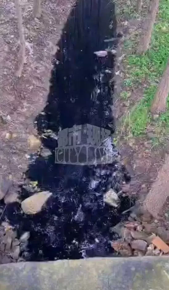 潍坊诸城一水库水现“石油色”，承包人称死鱼超3万斤，环保部门回应-第4张图片-