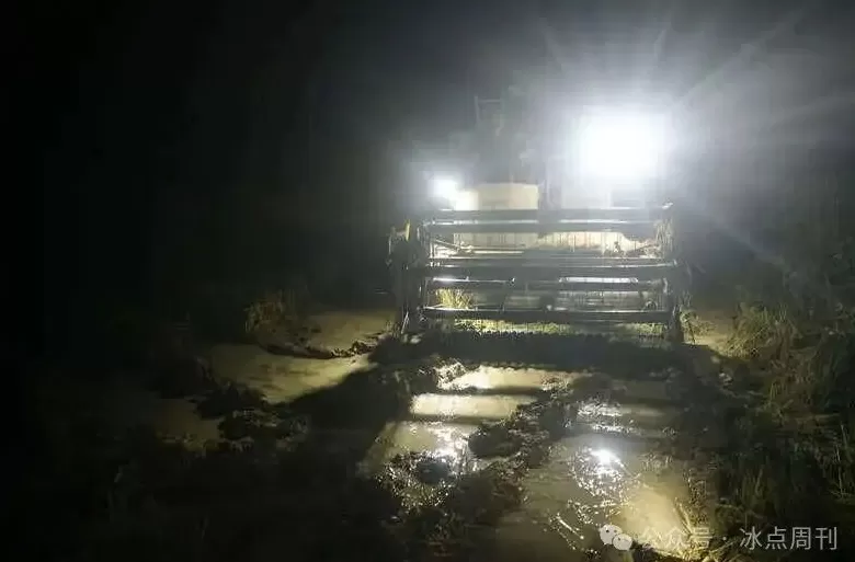 “夏天没被旱死的玉米，终于淹死在了秋天”这不是段子-第4张图片-