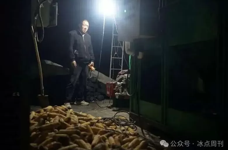 “夏天没被旱死的玉米，终于淹死在了秋天”这不是段子-第7张图片-