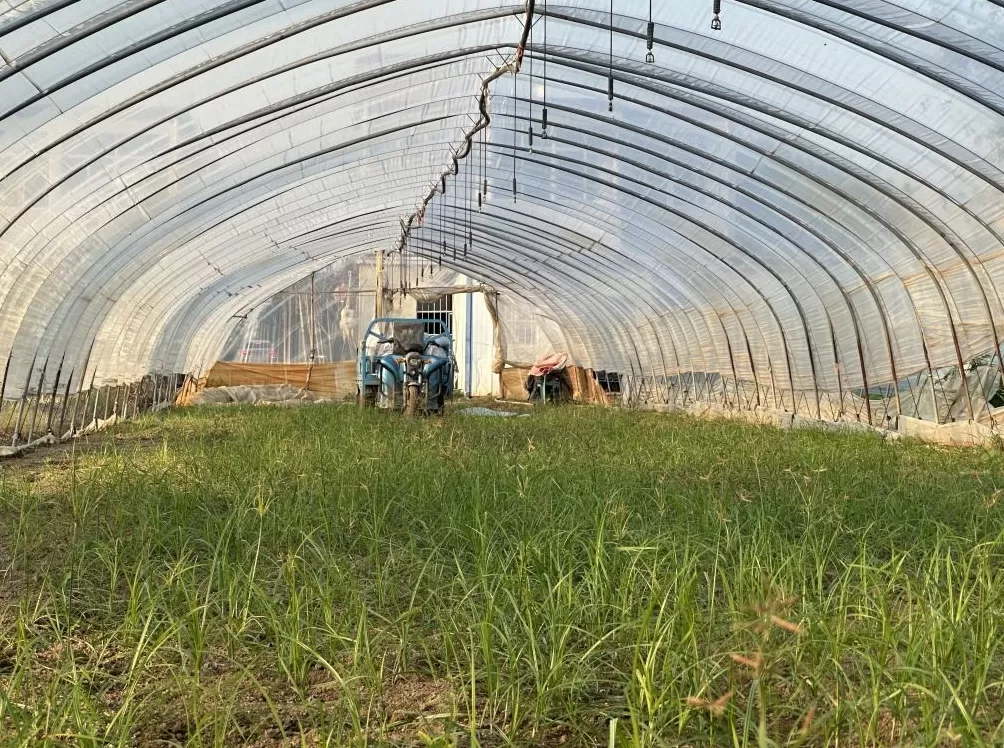 蚌埠一酒吧保安打人赔偿结案13年后：15人被公诉，同一事实出现两罪名-第5张图片-