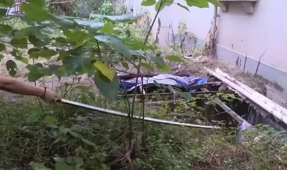 男子下楼捡鞋坠绿化带深坑身亡，小区内还有几个类似深坑，物业回应-第2张图片-