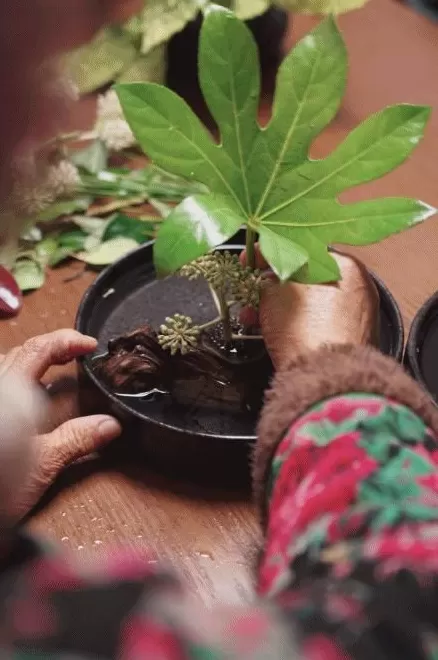 00后住进养老院：月租300元，和奶奶跨代共居-第21张图片-