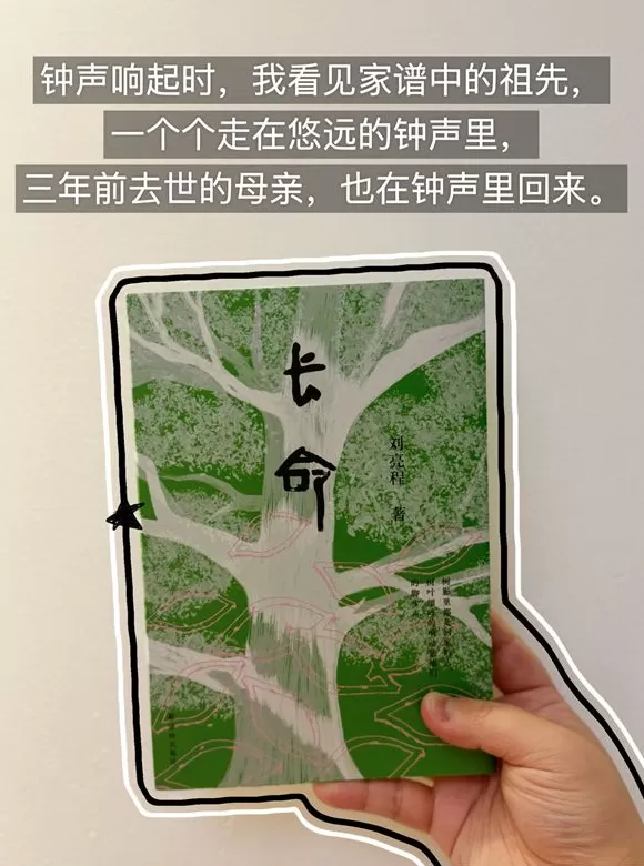 书单｜信息爆炸的时代，什么是你可随时撤回的“思考保护区”-第7张图片-