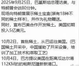 向美国出口稀土，巴铁变心了？-第2张图片-