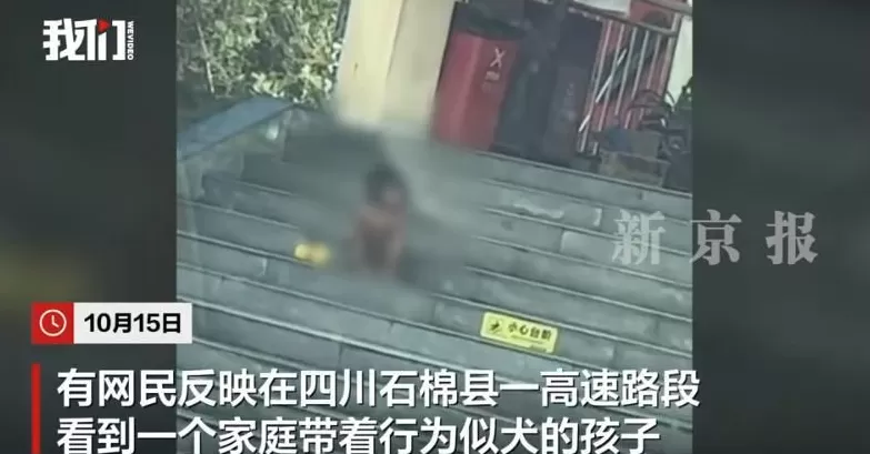 到底什么样的教育观，把孩子教成了“野人”｜新京报快评-第1张图片-