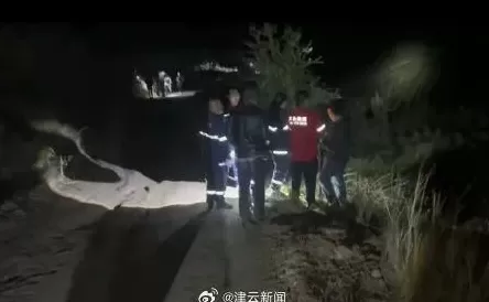 辽宁失联4岁女童已找到，能叫爷爷奶奶奶，身体无大碍，警方最新通报-第4张图片-